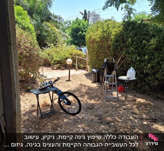 סולם, שולחן מתקפל, אופניים, גינה עם עצים ושיחים